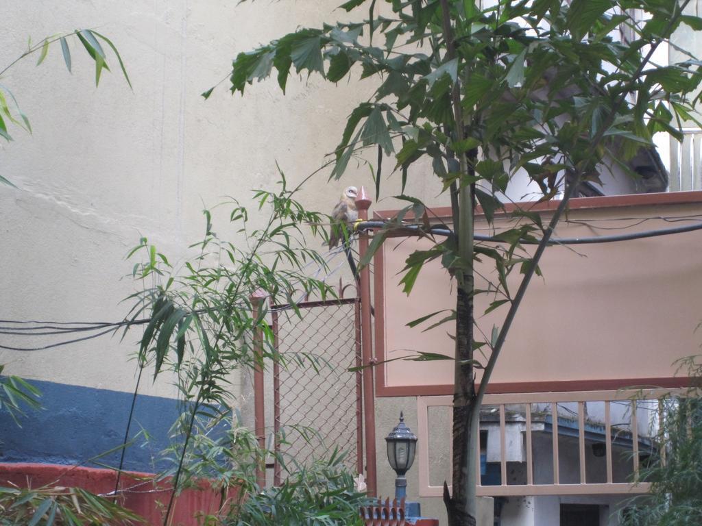 Tasi Dhargey Inn Kathmandu Esterno foto